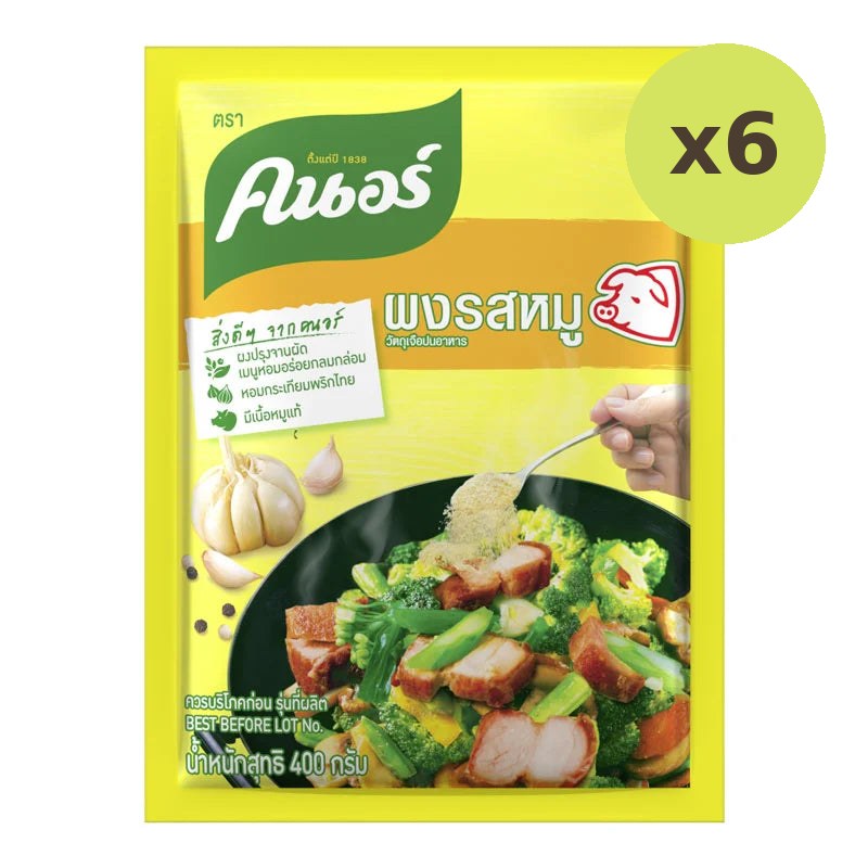 Knorr Pork Seasoning Powder 400g
