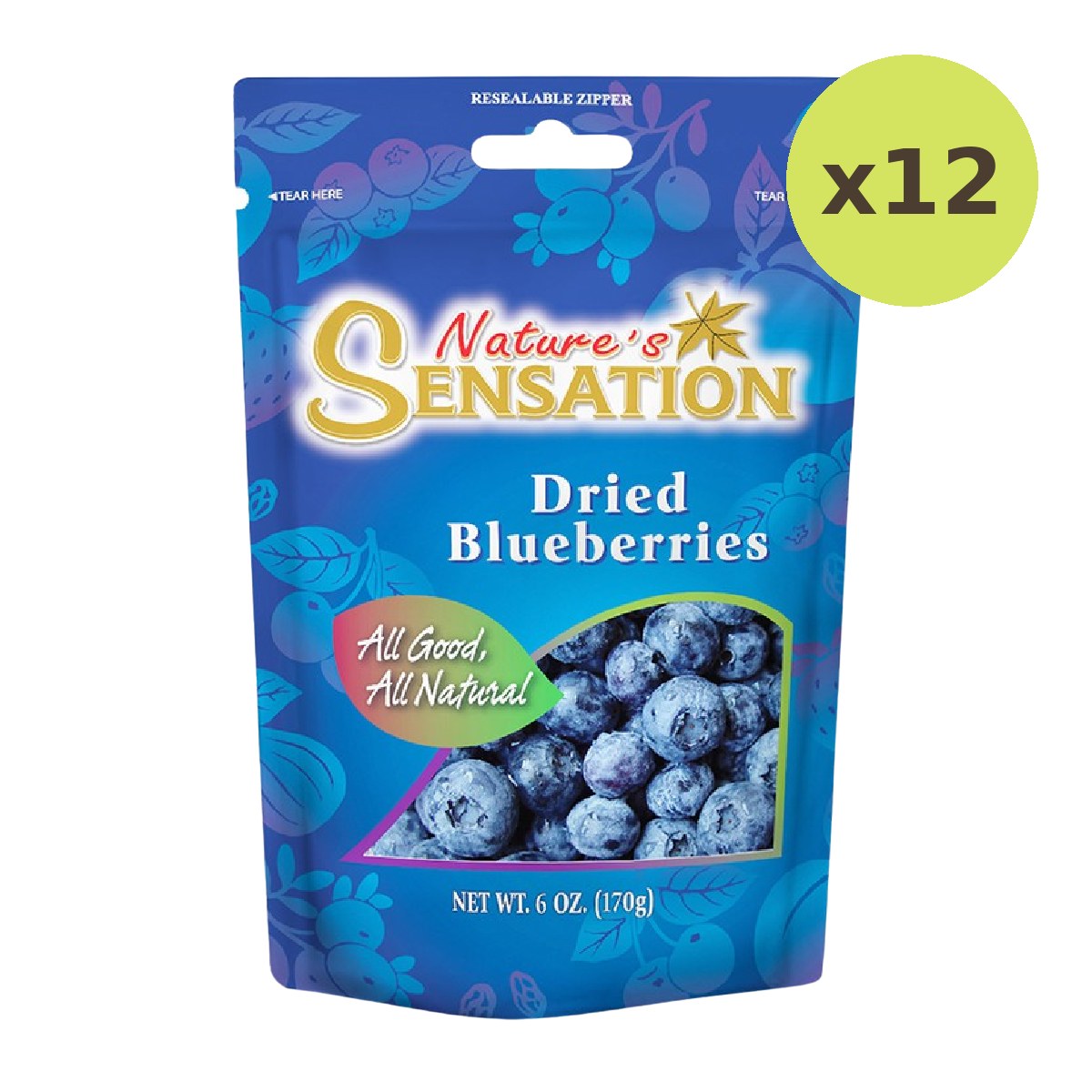 Nature's Sensation Dried Blueberries