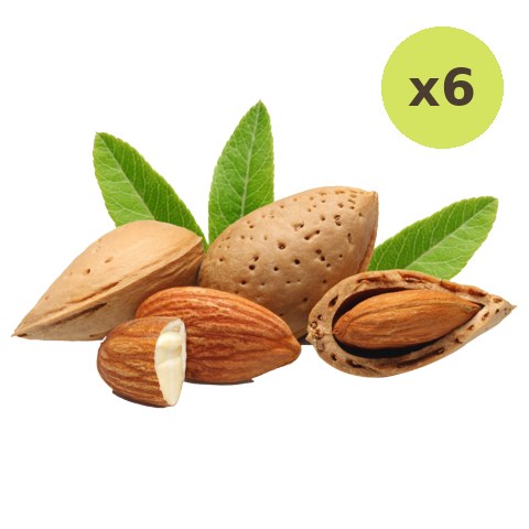 Wirai Almond