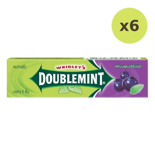Doublemint Chewing Gum Blueberry Mint Flavor 13.5g