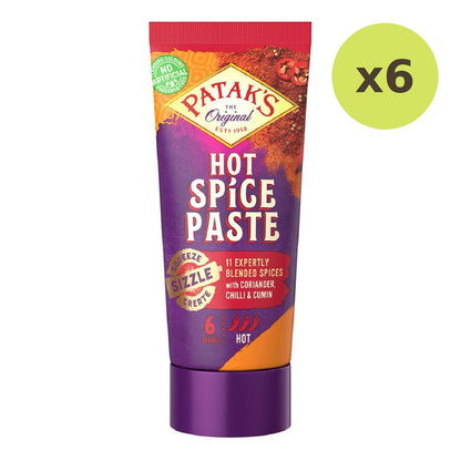 Patak's Hot Indian Style Paste