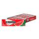 DENTYNE Stick Gum Watermelon 12.5g x20