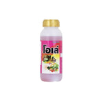 Bottle of B-Smile Ole Liquid Fertilizer for nourishing leaves of indoor and outdoor plants, ideal for healthy plant growth.