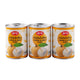 ARO Longan In Syrup 565g x3