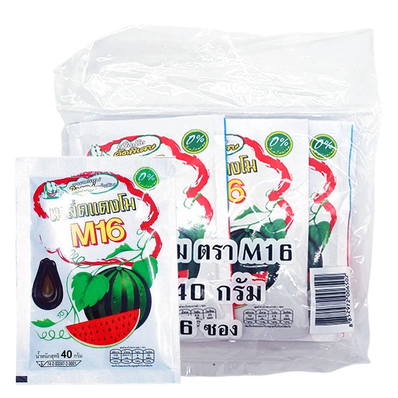 M16 Black Watermelon Seed 40g x6