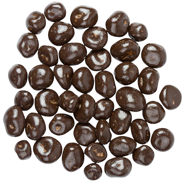 Sunridge Farms Dark Chocolate Raisins