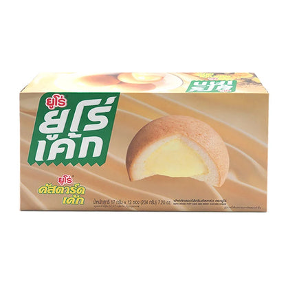 Euro Cake Custard 17g