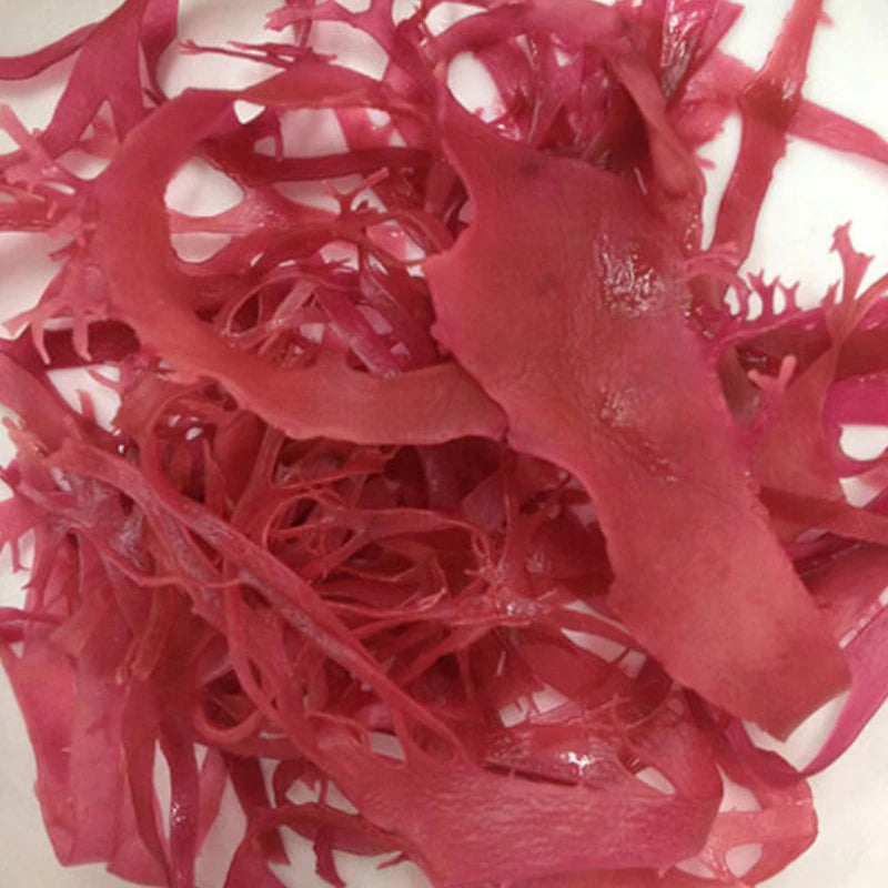 Sento Gyorui Kaneku Salted Aka Tosaka Seaweed Red Nori Natural