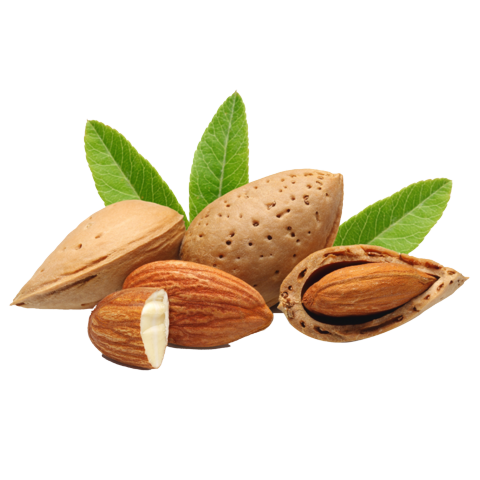 Wirai Almond