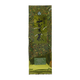 Japanese Green Tea