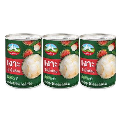 DOUBLE PIGEON Rambutan In Syrup 540g x3