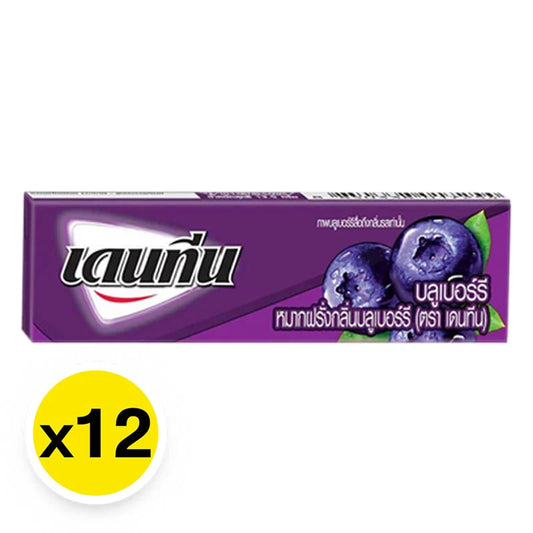 Dentyne Stick Gum Blueberry 12.5g x20