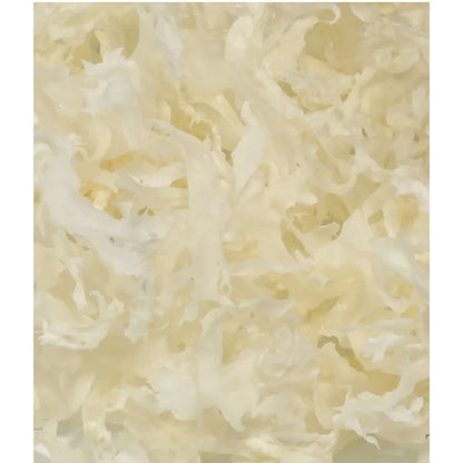 Sento Gyorui Kaneku Salted White Tosaka Seaweed Shiro Nori
