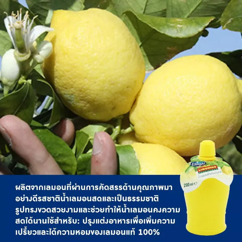Polenghi Limonino