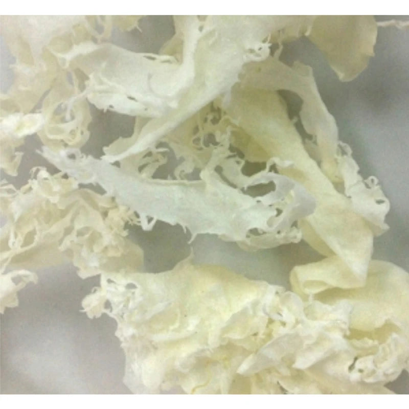 SENTO GYORUI KANEKU salted white Tosaka seaweed, natural algae, 500g packs, Japanese-made, fresh white nori for sushi and snacks
