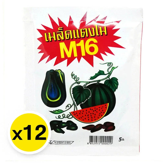 M16 Black Watermelon Seed 15g x12