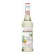MONIN Triple Sec Curacao Syrup . | Triple Sec Curacao Syrup 700ml
