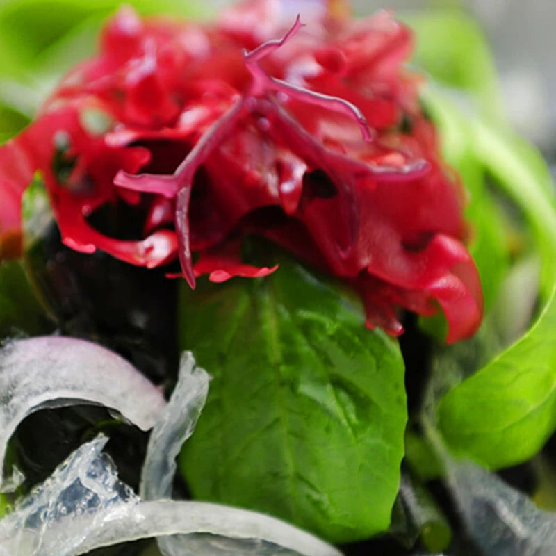 Sento Gyorui Kaneku Salted Aka Tosaka Seaweed Red Nori Natural