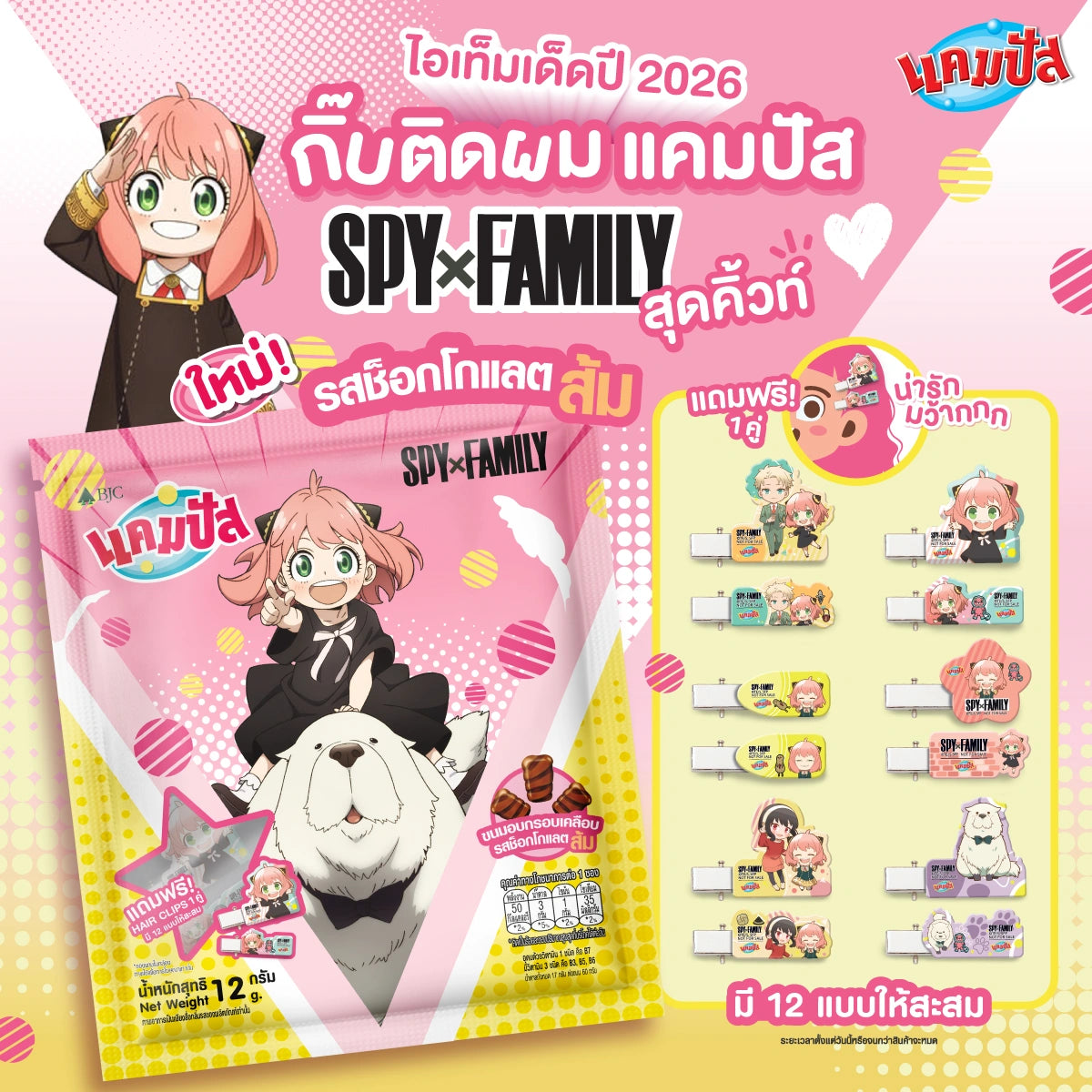 Campus Set Spy X Family Hair Clip 12g